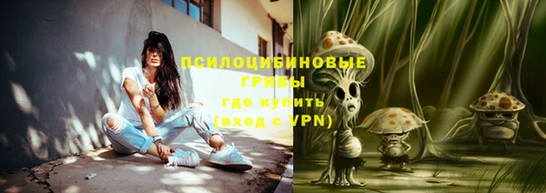 крисы Верхнеуральск