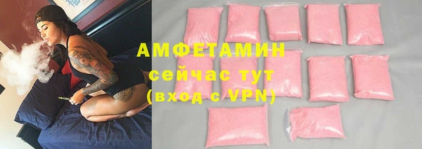 гидра Верхний Тагил