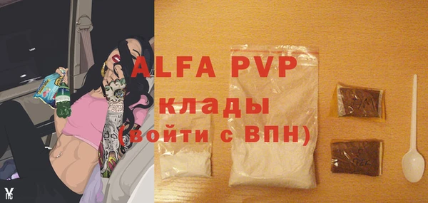 гидра Верхний Тагил
