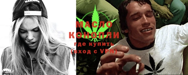 гидра Верхний Тагил